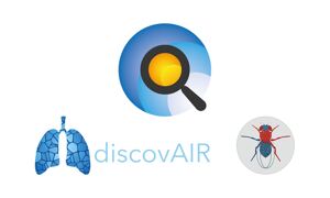 3 logos. A magnifying glass as the Single Cell Expression Atlas logo at the top. A set of blue lungs as the DiscovAIR logo on the left. And a fly in a grey circle as the Fly Cell Atlas logo on the right.