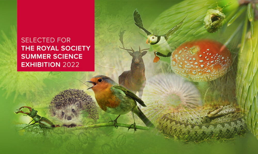 A banner in the top left corner reading “Selected for the royal society summer science exhibition 2022” with animals, plants, insects, and fungi in the background to represent the Darwin Tree of Life species.