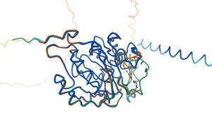 AlphaFold DB model superposed on PDB structures