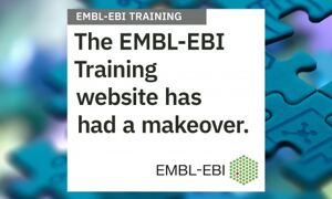 Text superimposed on image of puzzle: EMBL-EBI Training website has had a 
makeover
