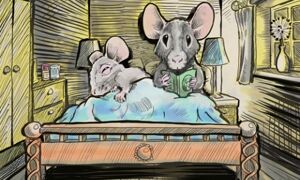 Artist's interpretation of social genetic effects: mice with different 
sleeping preferences
