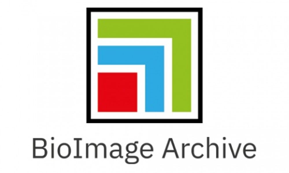 BioImage Archive logo
