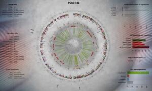Largest-ever study of breast cancer genomes, 2 May 2016
