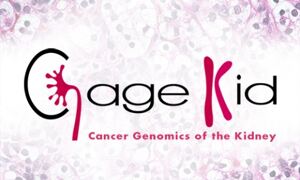CAGEKID: Cancer genomics of the kidney
