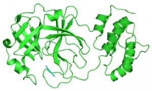 SARS-CoV-2 protein structure
