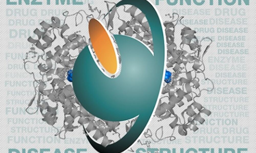 Enzyme Portal relaunched at EMBL-EBI
