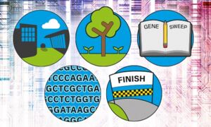 Five icons illustrating two buildings, a tree, a book, a genetic code and a 
finish line
