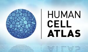 Human Cell Atlas logo
