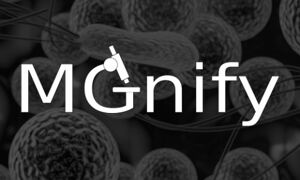 MGnify logo - white on bacteria background
