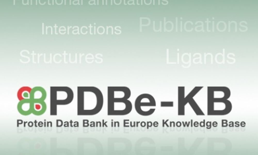 PDBe-KB logo on gradient background
