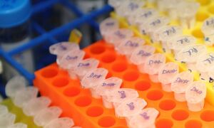 Biological samples from a biobank. Stock image courtesy of the CRG.
