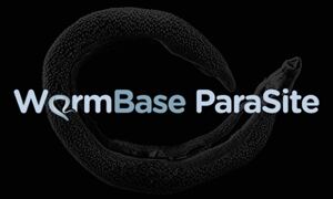 Parasitic worm genomes

