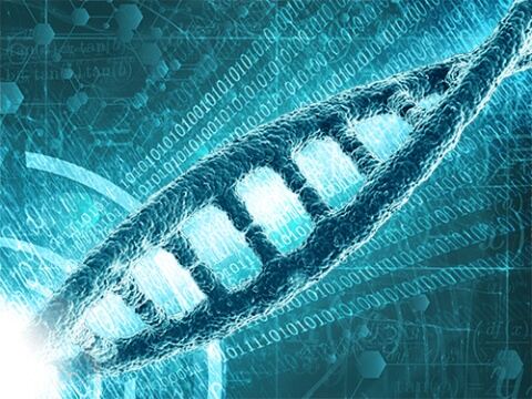 Complex, Large-scale Genome Analysis Made Easier | EMBL’s European ...