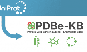 PDBe-KB links UniProtKB proteins to structures 
