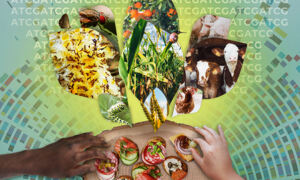 Collage of plant and animal species that play an important role in global 
food security
