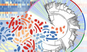 A circular graph with many lines representing microbial species and a heat
map in the background to depict sequencing information