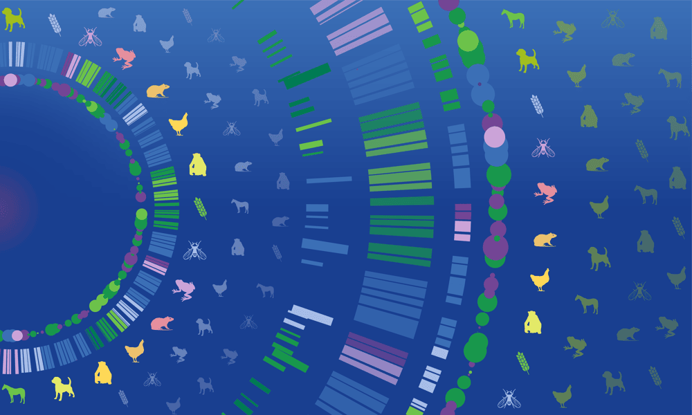 Graphic on blue background showing lots of species icons and graphic representations of genomic data