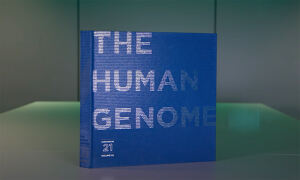 Blue book with title saying 'The Human Genome'