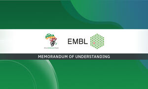 The AfricaBP logo and EMBL logo on a banner with memorandum of understanding written underneath