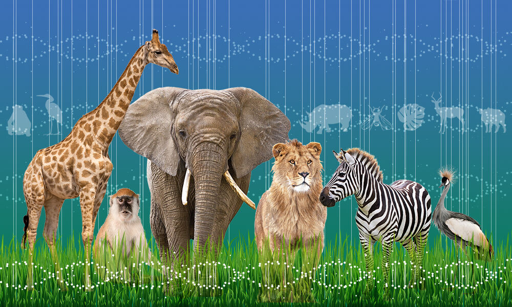 From left to right; a giraffe, monkey, elephant, lion, zebra, and bird with DNA double helix in the background.