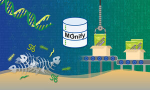 Illustration showing fish bones on the sea floor, surrounded by DNA helix and microbe icons. In the centre is an icon that looks like barrel, with the word MGnify on it, symbolising the MGnify database for microbiome data. On the right are green sachets with the words &quot;protein powder&quot;on them. The illustration is meant to represent some of the elements required when upcycling fish and more generally animal bone into protein powder.