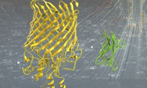 Protein structures on background symbolising machine learning.

