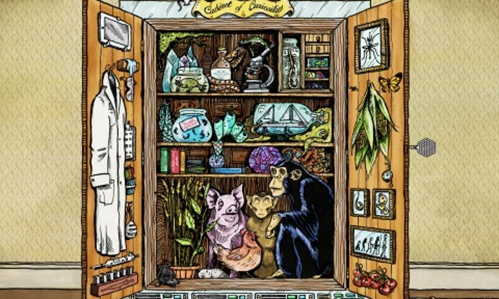 The cabinet of curiosity