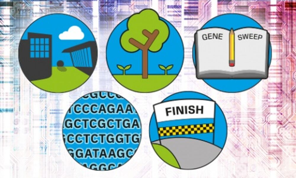 Five icons illustrating two buildings, a tree, a book, a genetic code and a 
finish line
