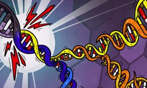 Artist's impression of DNA lesions. Credit: Petra Korlevic
