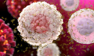 Coronavirus and T cells on pink background. Artist's impression.
