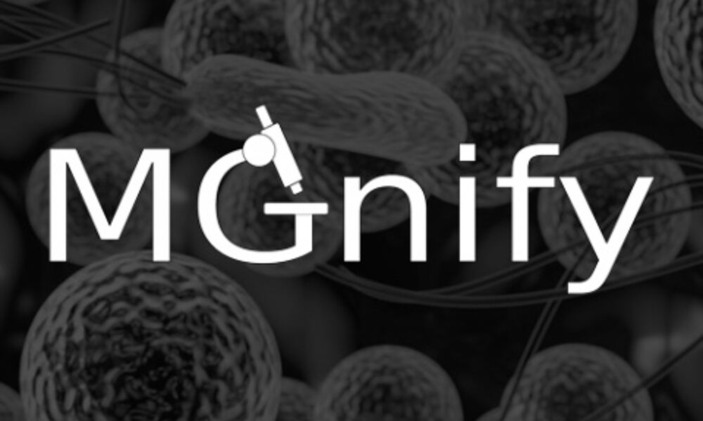 MGnify logo - white on bacteria background
