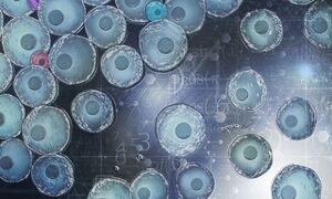 Hidden cell types revealed
