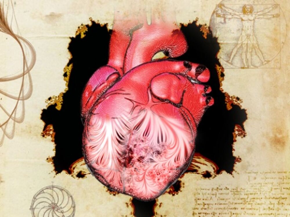 New clues to a 500-year old mystery about the human heart