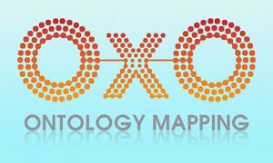 Ontology Mapping Service logo

