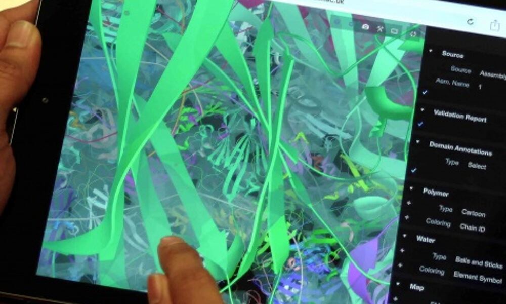 Person holding tablet showing 3D protein structure in PDBe
