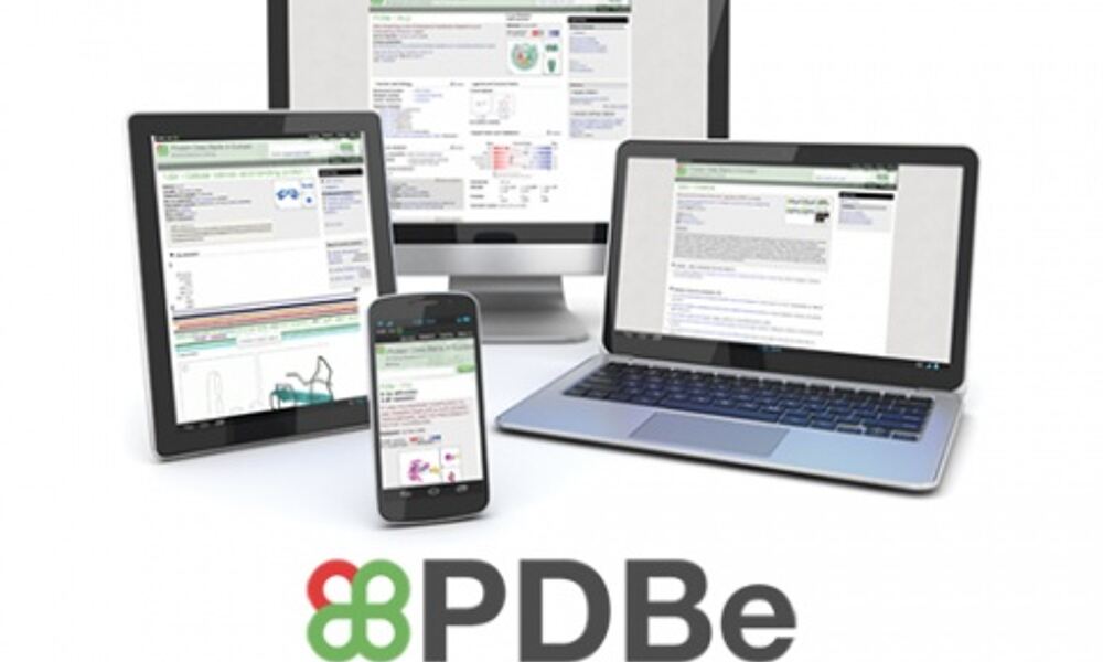 PDBe’s new website for structural biology
