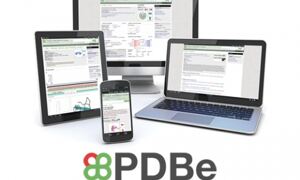 PDBe’s new website for structural biology
