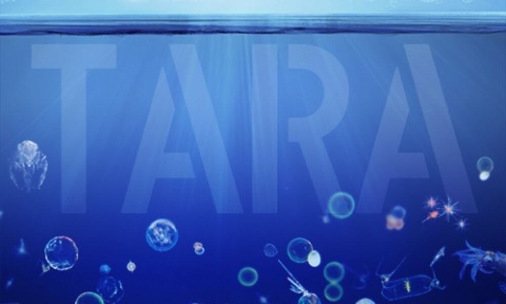 Tara Oceans: the data
