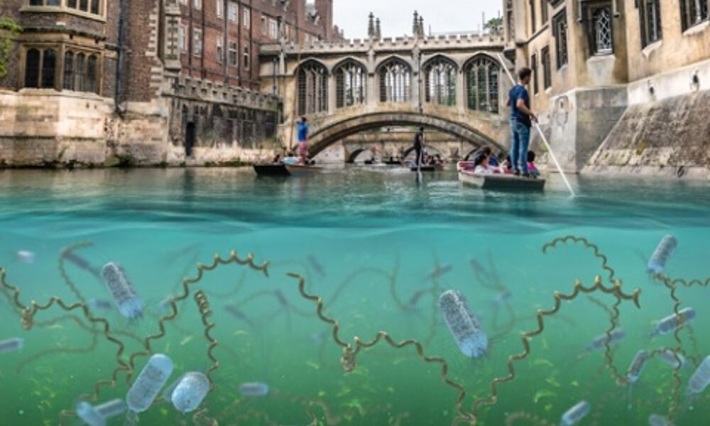Image of Brige of Sighs in Cambridge, UK, with animated microbes in the river 
water.
