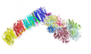PDBe structure 4hea
