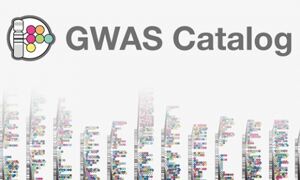NHGRI-EBI GWAS Catalog
