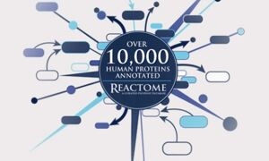 Reactome: 10,000 protein records
