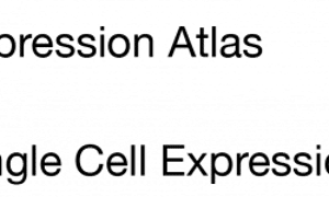 Expression Atlas, Single Cell Expression Atlas releases
