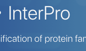 InterPro: protein sequence analysis &amp; classification
