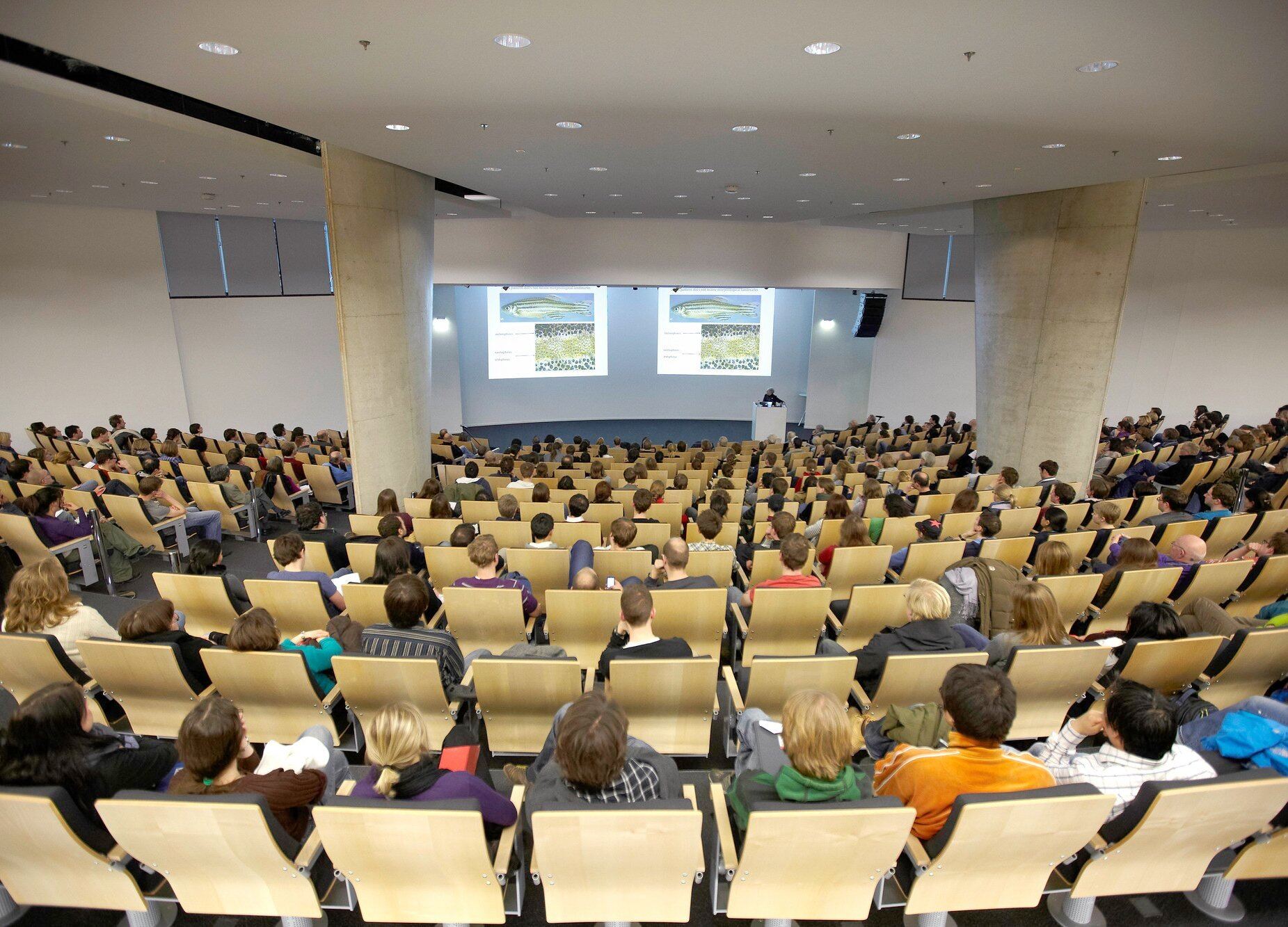 people attending a seminar