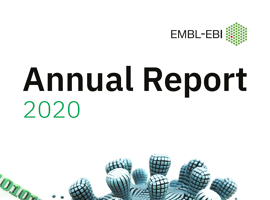 Download the report