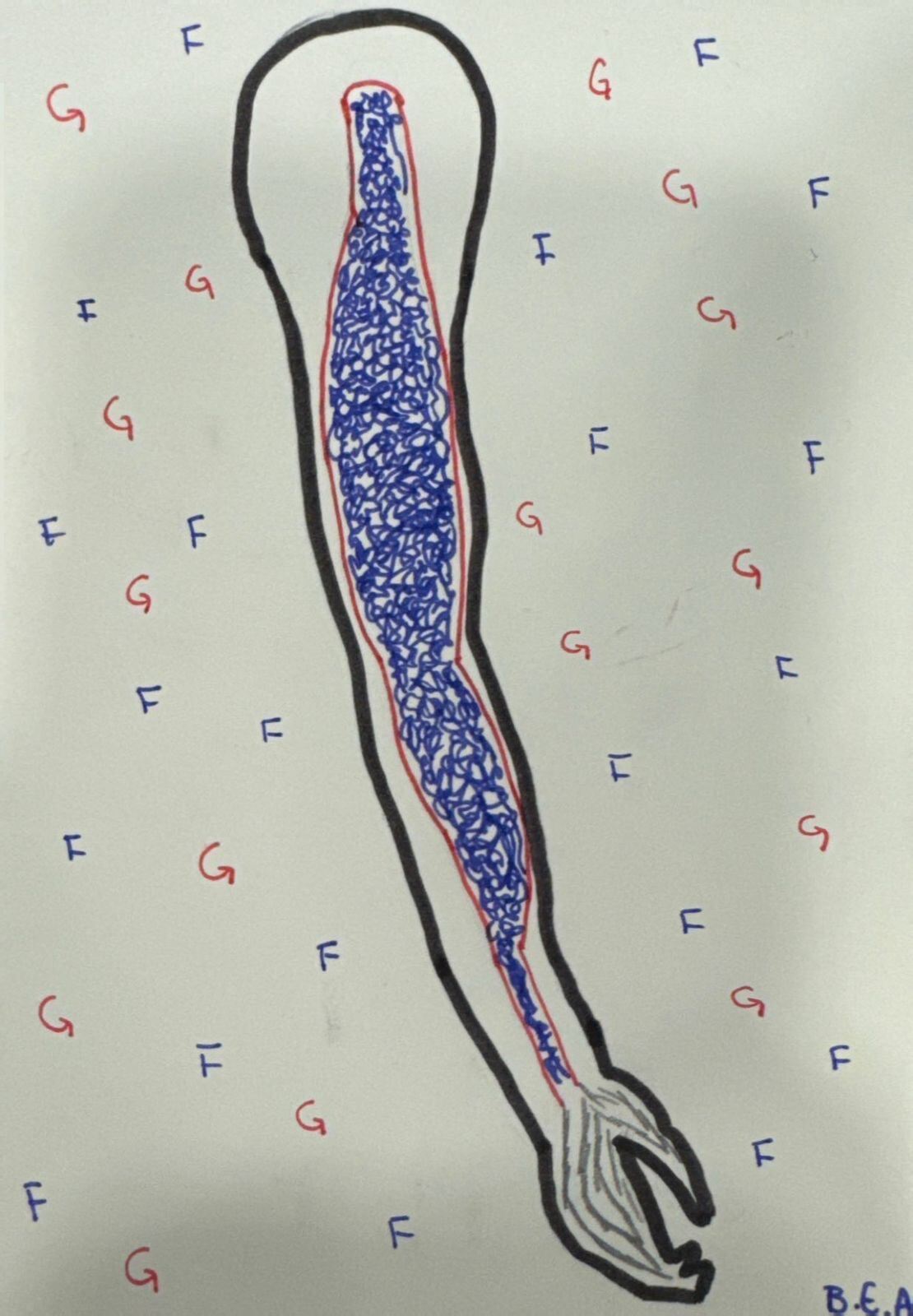 Actin in the Muscle by Beatrice A.