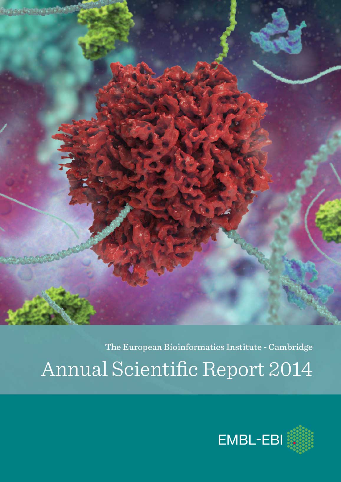 Download the report