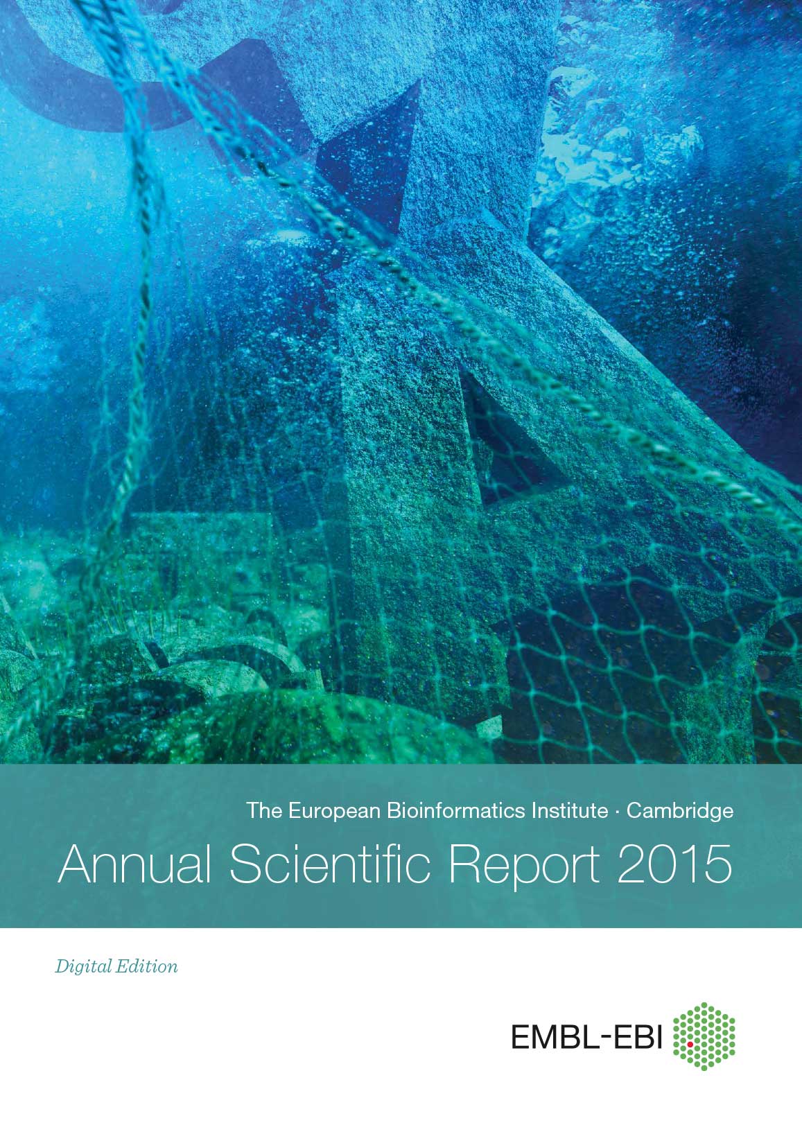 Download the report