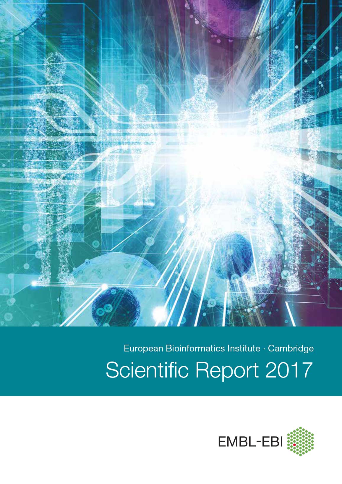 Download the report